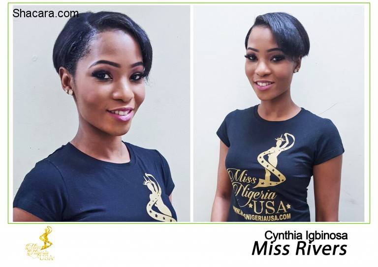 Meet The Miss Nigeria USA 2016 Contestants