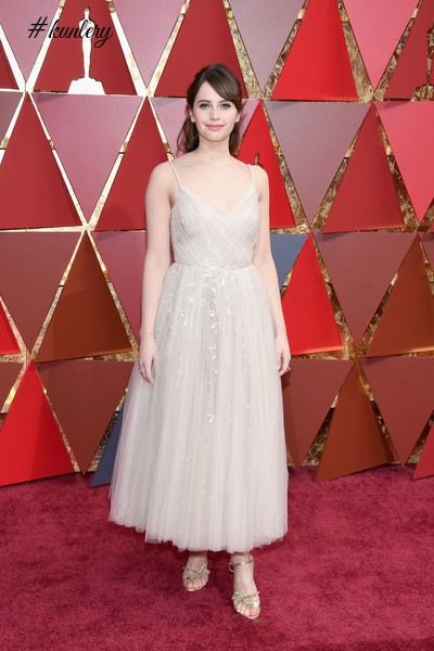 Red Carpet Glam: 89th Annual Academy Awards