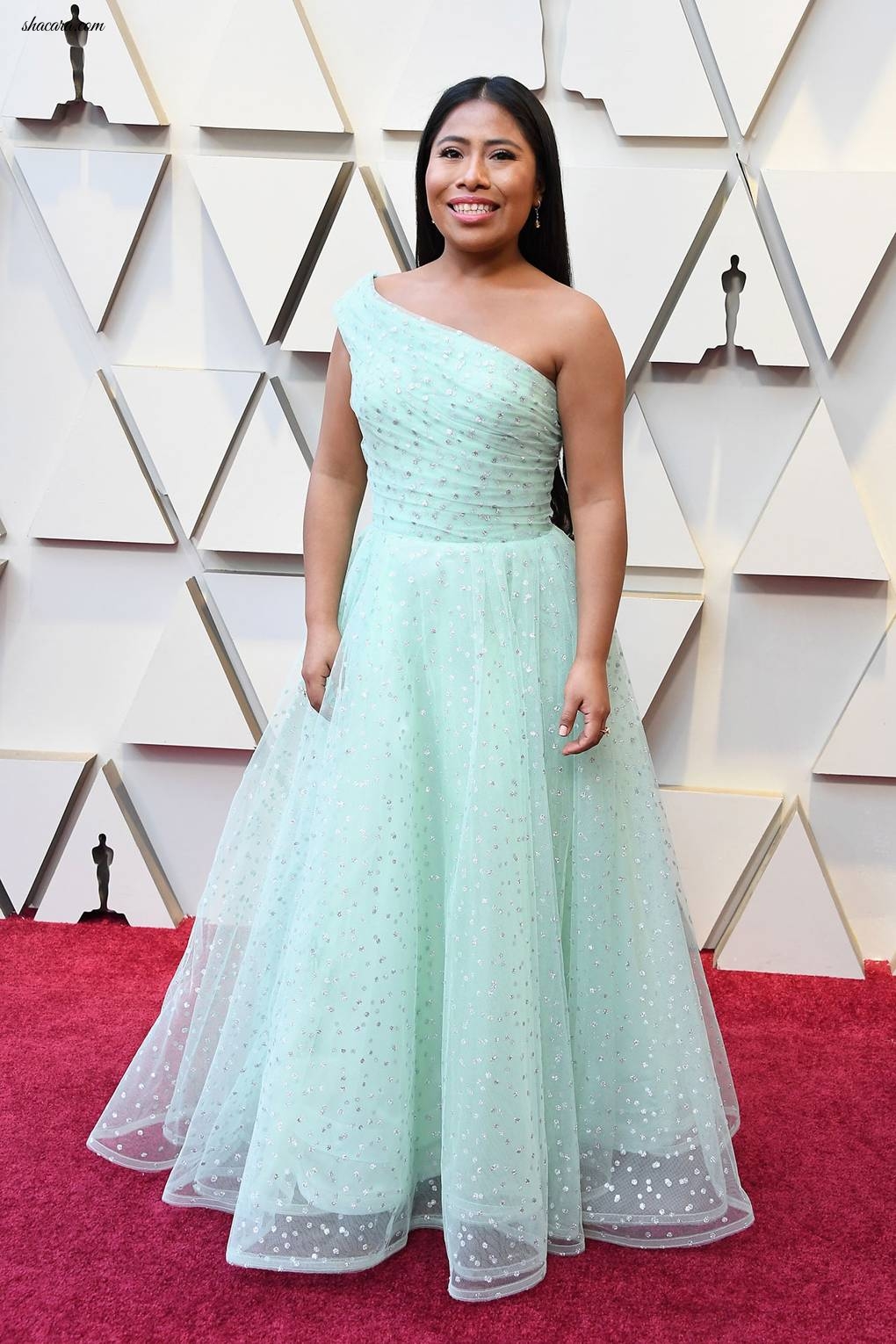 Oscars 2019: Red Carpet Dresses