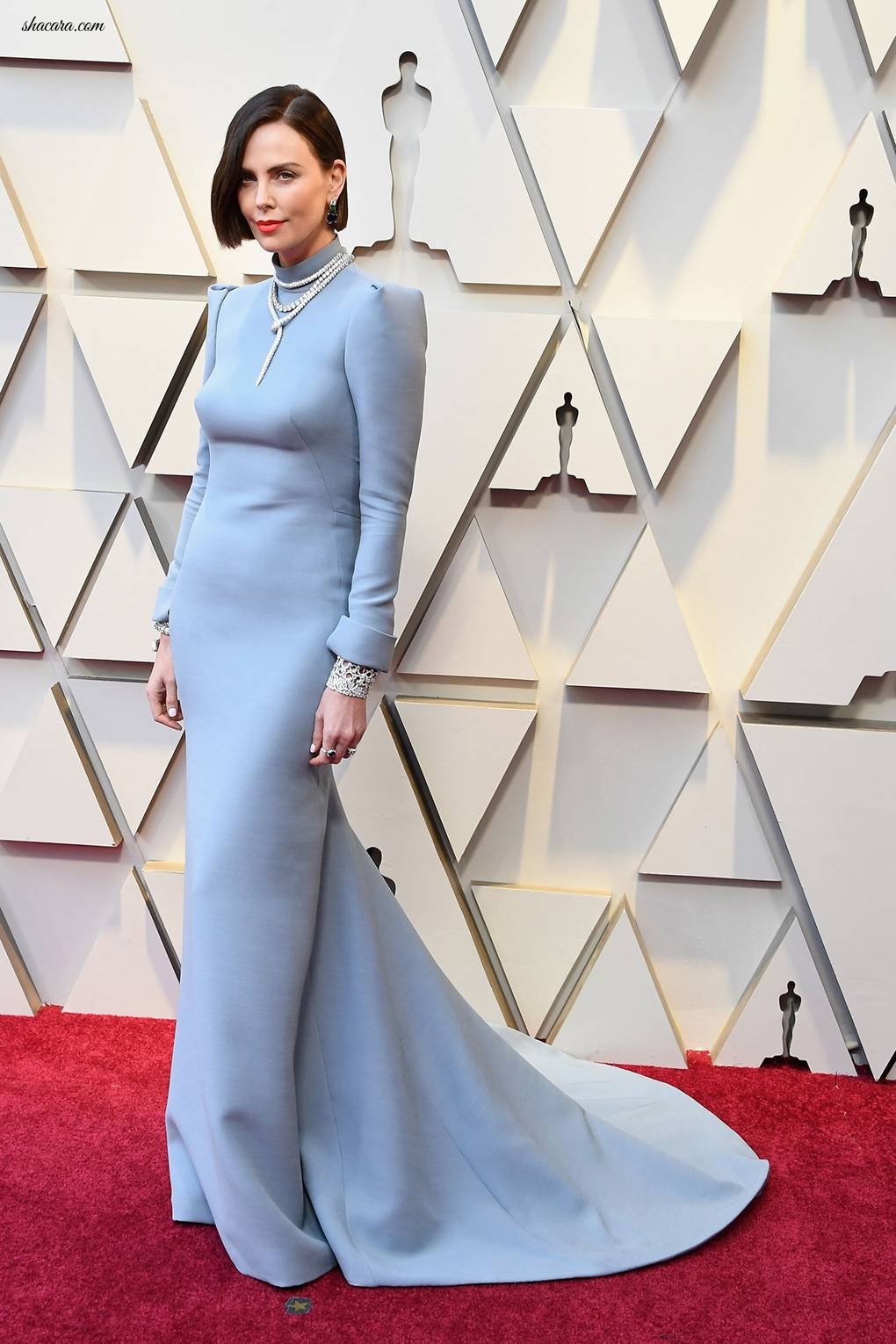 Oscars 2019: Red Carpet Dresses