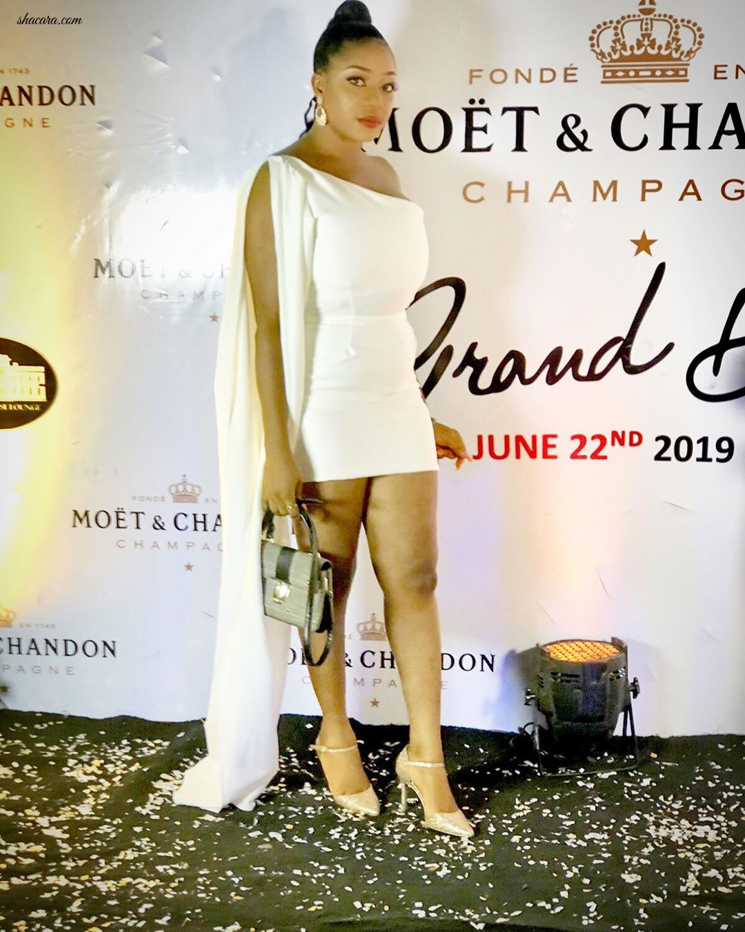 Shaffy Bello, Kate Henshaw & Others At the 150th Anniversary Celebration Of Moet &Chandon